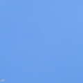 White-throated_Needletail-210310-104MSDCF-FRY01816-W.jpg
